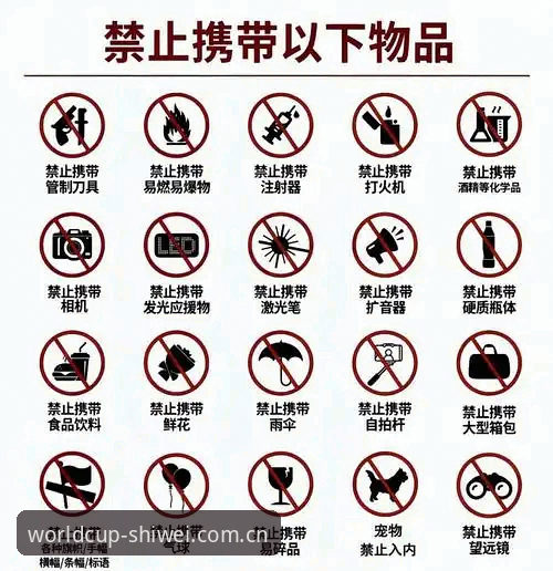 世界杯官入口使用指南：狮威世界杯客服支持的创新投注体验